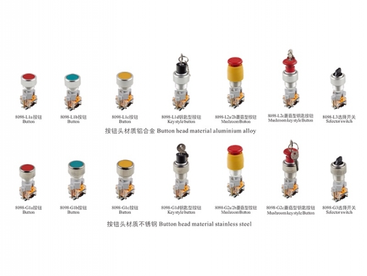 8098 series Explosion-proof control button